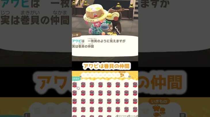 【あつ森】　売る前に要チェック