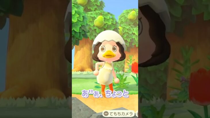 ジャックと写真撮りたかった #あつ森 #あつまれどうぶつの森