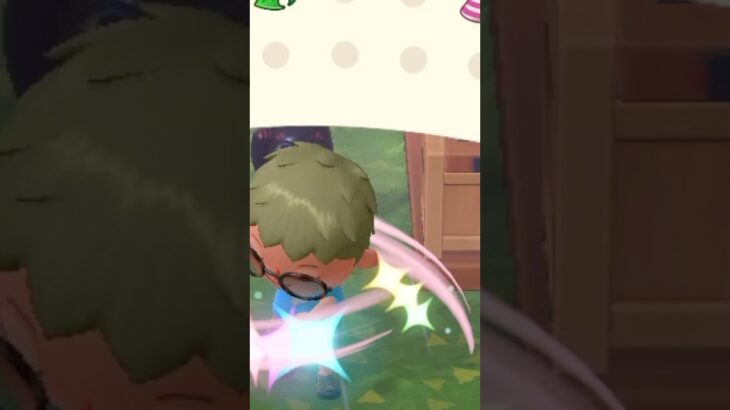 【あつ森】これは何？？住民からプレゼントを貰ったので見てみたら…