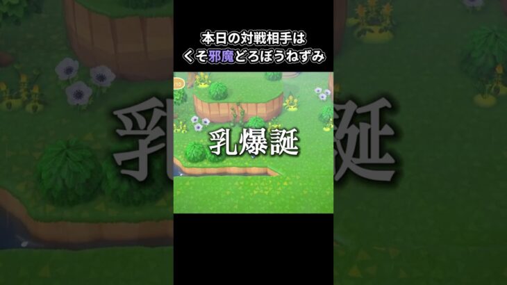 あつ森 》》本日の対戦相手はくそ邪魔どろぼうねずみ