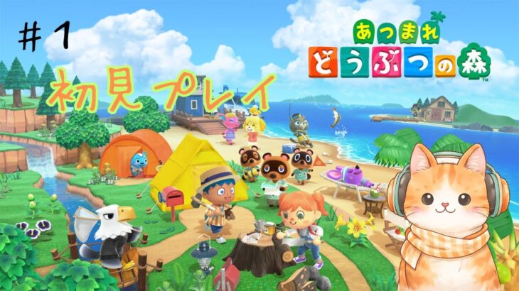 あつ森初見プレイ