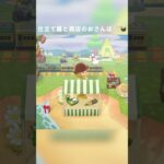 【あつ森】仕立て屋さんとタヌキ商店のおさんぽ🪡🧺