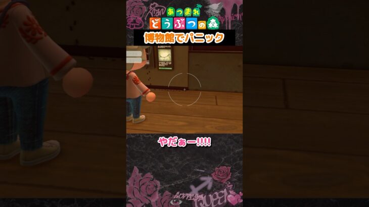 【あつ森】うちの博物館もそのうちこうなるのか…