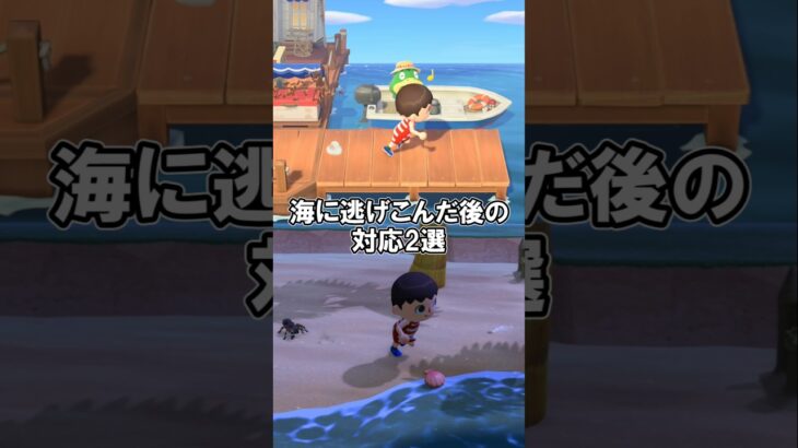 海に逃げるときのハチとタランチュラの違い 【あつ森】@ほのげ