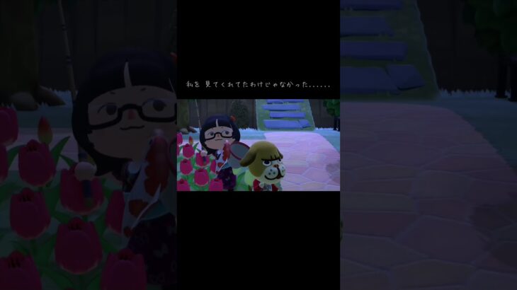 【あつ森】悲しき勘違い