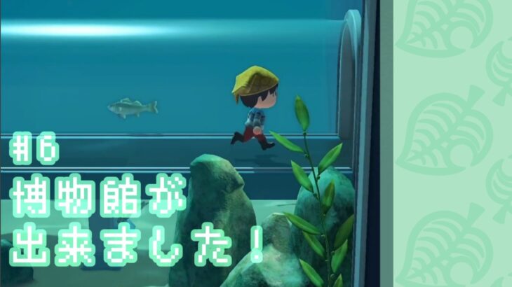 博物館が出来ました！【あつまれどうぶつの森】♯６