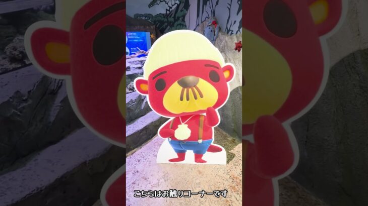 あつ森コラボ水族館