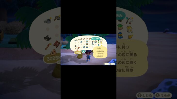 あつ森　アポロからミヤマクワガタ強奪