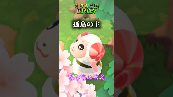 【あつ森】自分の島の住民紹介！#あつ森 #どう森 #どうぶつの森 #ランキング #ちゃちゃまる #ジュン #ブーケ #ミッチェル #住民厳選 #離島ガチャ #ニンテンドー