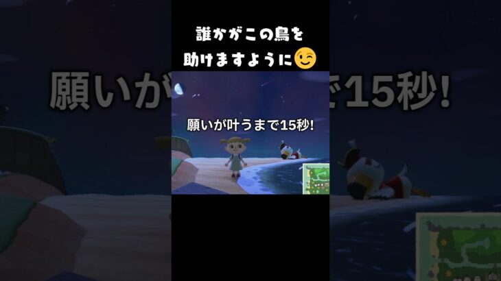 願い叶った！ #あつ森 #あつまれどうぶつの森 #どうぶつの森