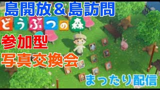 【あつ森】　参加型　島開放＆島訪問　【別件　写真交換できますよ】　 #あつまれどうぶつの森 #あつ森　＃ライブ配信 #初見さん歓迎