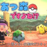 【あつ森】視聴者さんの夢番地訪問第２弾！ポケモン愛がつまった島がすごすぎた！【ゆっくり実況】【あつまれどうぶつの森】