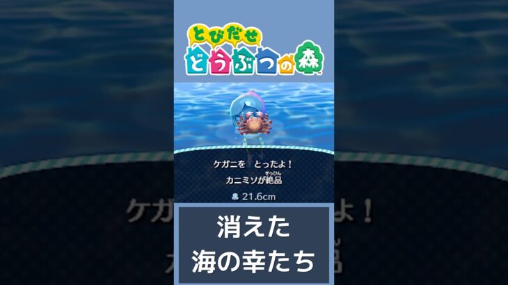 あつ森で消えた海の幸たち【とびだせどうぶつの森】