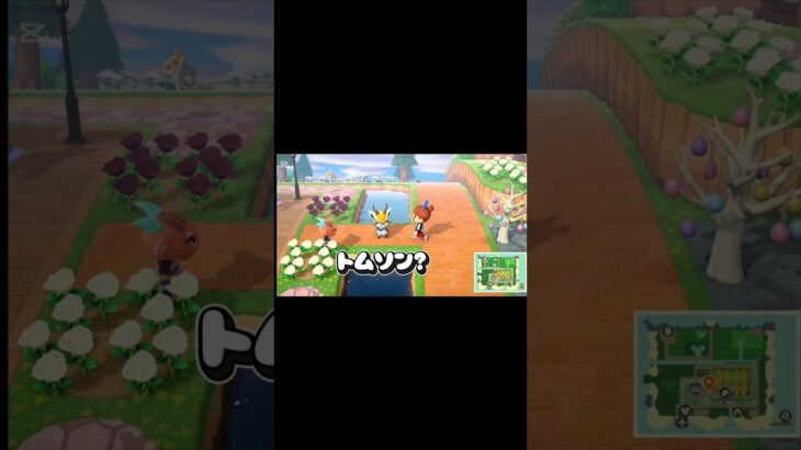 優雅に読書するトムソン(通れない) #あつ森 #トムソン