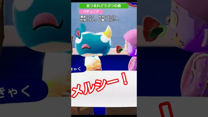 【#あつ森 】ペチュニア【#あつまれどうぶつの森 】