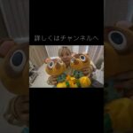 【神引き‼️】どう森一番くじ引いてきた‼️#あつ森 #日常 #一番くじ #神引き