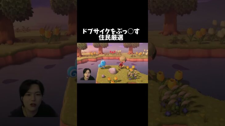 フルは上のリンクから！ #ゆきドラ #あつ森 #あつまれどうぶつの森