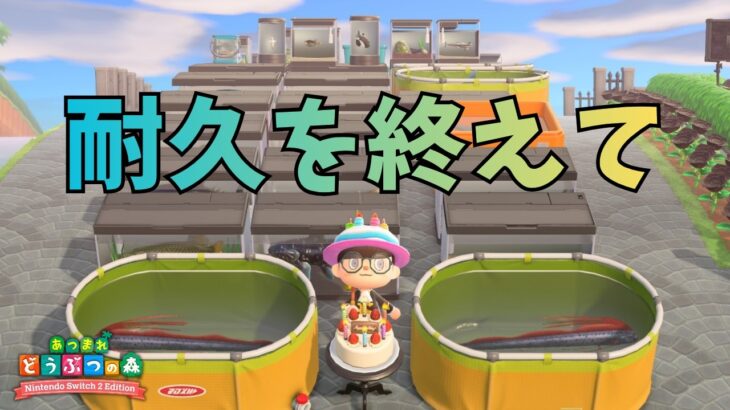 サカナ全８０種類を釣る耐久を終えて・・・【あつ森】