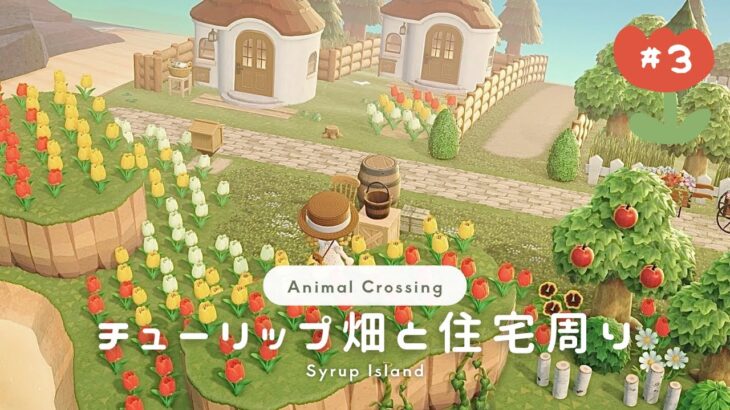 【あつ森】チューリップの花畑と住宅周り🐰🌷⑅˚˖【島クリエイト】