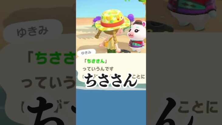 それはニックネームなのか❓【あつ森】