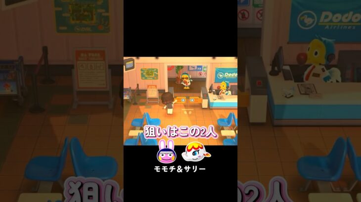 #あつ森 #あつまれどうぶつの森 #離島ガチャ