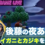 【後藤の夜あつ森】今夜は漁に出ます