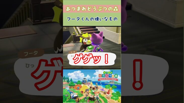 【#あつ森 】フータくんの嫌いなもの【#あつまれどうぶつの森 】