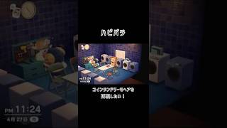 【あつ森】ハピパラ　〜モヘア〜