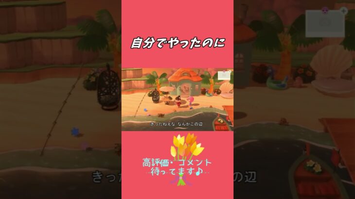 【あつ森】自分でやったのに、よくみたら汚くて驚くやつ#ハピパラ #女性実況 #雑談 #スローライフ#別荘