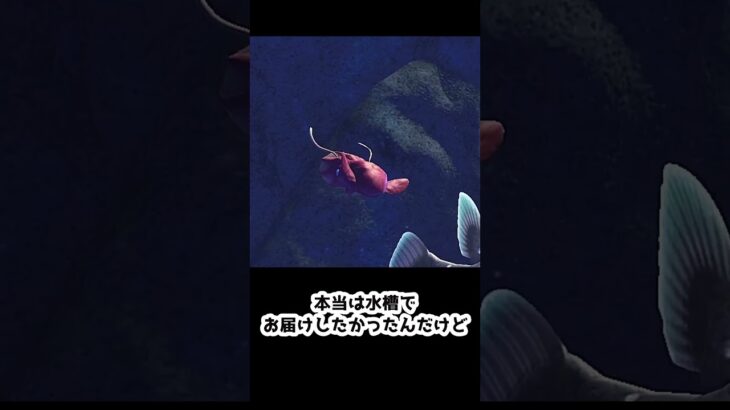 【あつ森】　一番好きな説明文　　　　　　　　　　　 #あつまれどうぶつの森　 #ゆっくり実況