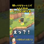 【あつ森】願ってもないとこでフラグ回収してしまう配信者ｗ #あつまれどうぶつの森 #小ネタ #レア島