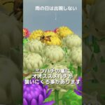 【あつ森】ミツバチの観察🐝
