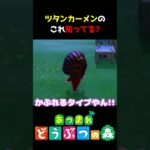 【あつ森】ツタンカーメンのこれ知ってる?