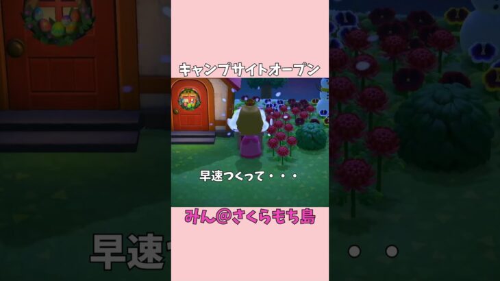 【あつ森】島に新スポット誕生！【キャンプサイト】