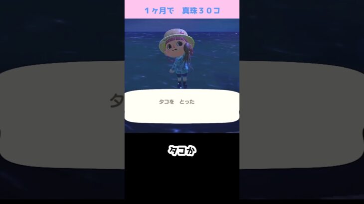 【あつ森】≪真珠３０コ≫　ホタテを狙う　　　　　　　　　　　　　　　　　　 #あつまれどうぶつの森　 #ゆっくり実況