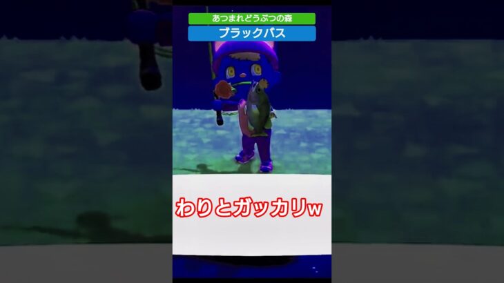 【#あつ森 】ブラックバス【#あつまれどうぶつの森 】