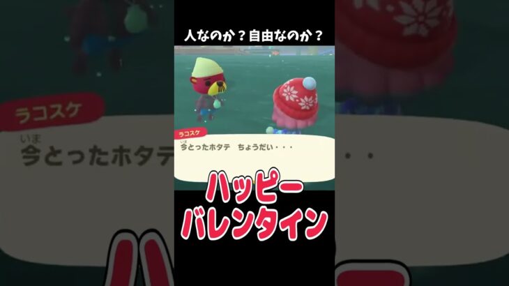 人なのか？自由なのか？ｗ #あつ森 #ききゆん 【嬉々桜ゆん】#あつまれどうぶつの森 #ゲーム実況
