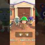 #あつ森  操作下手でタイミングズレてます