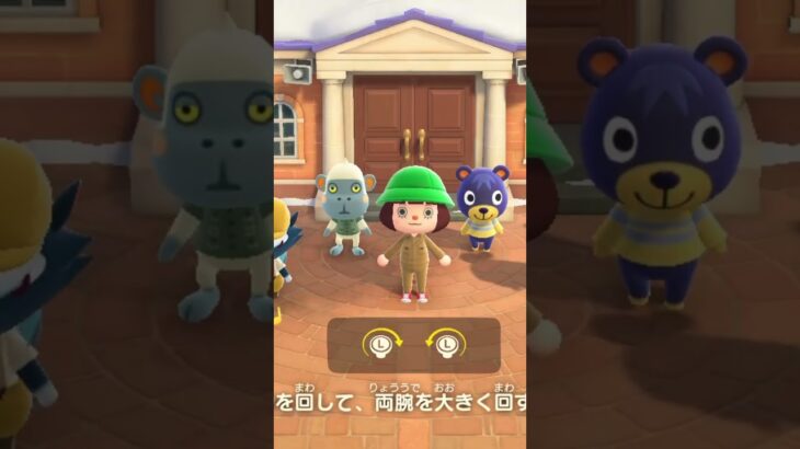 #あつ森  操作下手でタイミングズレてます