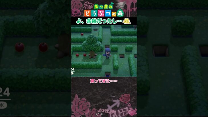 【あつ森】寝起きは頭まわらないからさぁ🥹