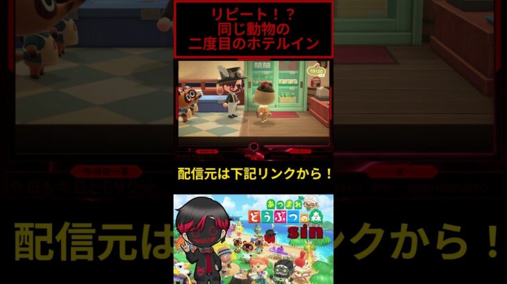再来の観光客。 #あつ森 #あつまれどうぶつの森 #コツ森 #しん〇