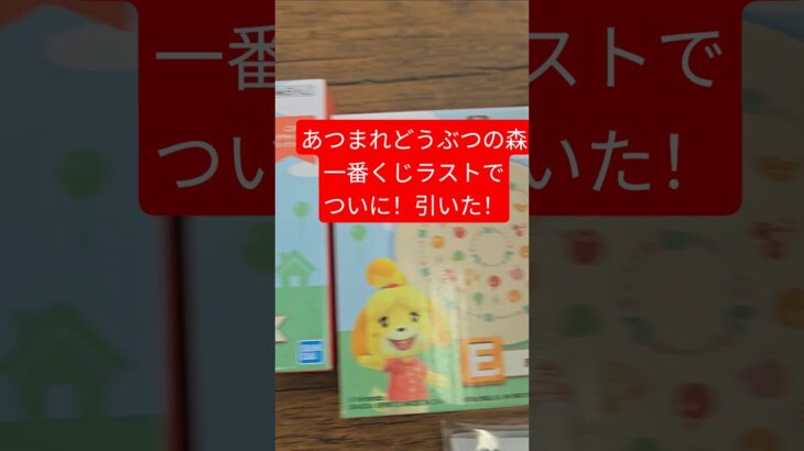 あつまれどうぶつの森一番くじ#あつ森 #あつまれどうぶつの森 #一番くじ