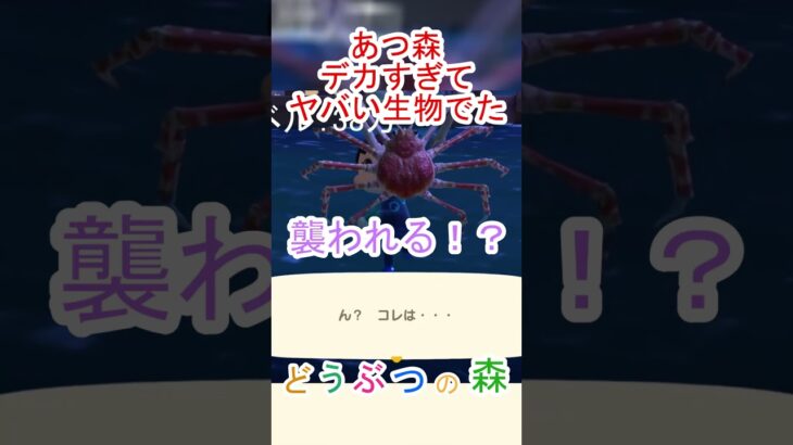 あつ森でデカい生物でてきて焦りまくる！【あつまれどうぶつの森】#あつ森 #あつまれどうぶつの森