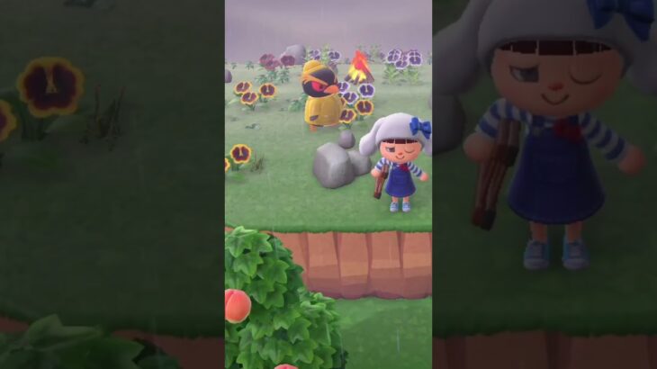 【あつ森】牛やもん。そりゃ知らんよな@user-lightnest #あつ森 #あつまれどうぶつの森