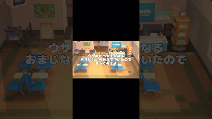 【あつ森】おまじないして離島へ​⁠@user-lightnest #あつ森 #あつまれどうぶつの森