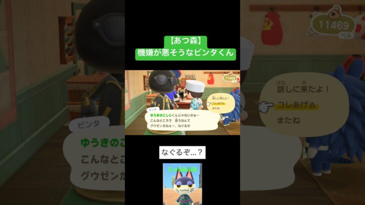 【あつ森】機嫌が悪そうなビンタくん。 #あつ森 #あつまれどうぶつの森 #ニンテンドー #住民厳選 #離島ガチャ #ビンタ #ジュン #あつ森vlog #あつ森ライブ