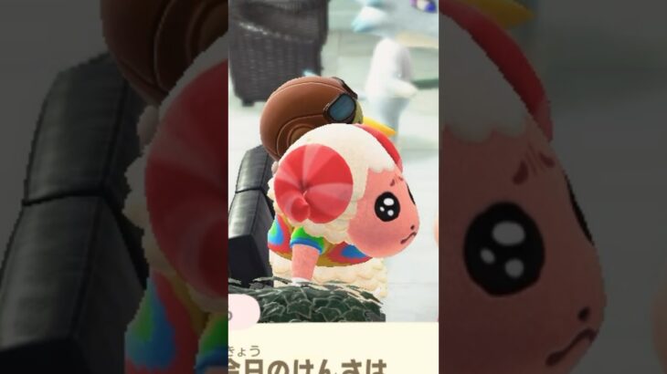 【あつ森】病院でも筋トレを忘れないちゃちゃまるが可愛い  #あつまれどうぶつの森  #あつ森ちゃちゃまる  #あつ森vlog