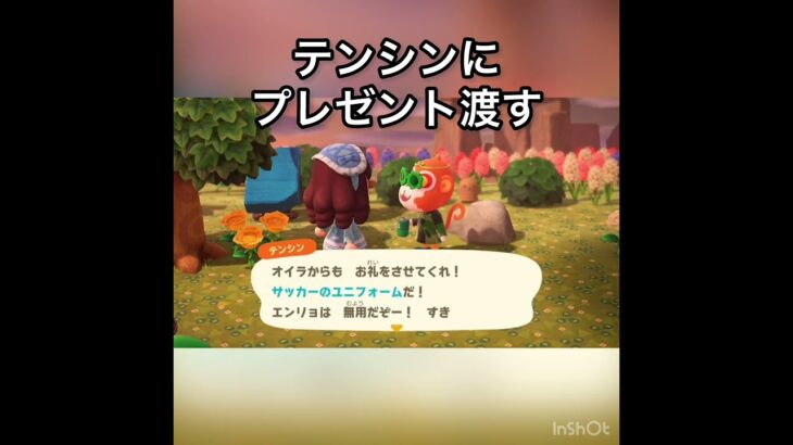 【あつ森】テンシンにプレゼント　#vlog #あつ森 #あつまれどうぶつの森 #こはくちゃんねる2424   #毎日更新　毎日更新中