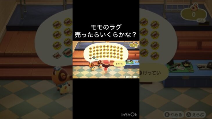 【あつ森】モモのラグ売ったらいくらかな？　 #vlog #あつ森 #あつまれどうぶつの森 #こはくちゃんねる2424  #毎日更新　毎日更新中