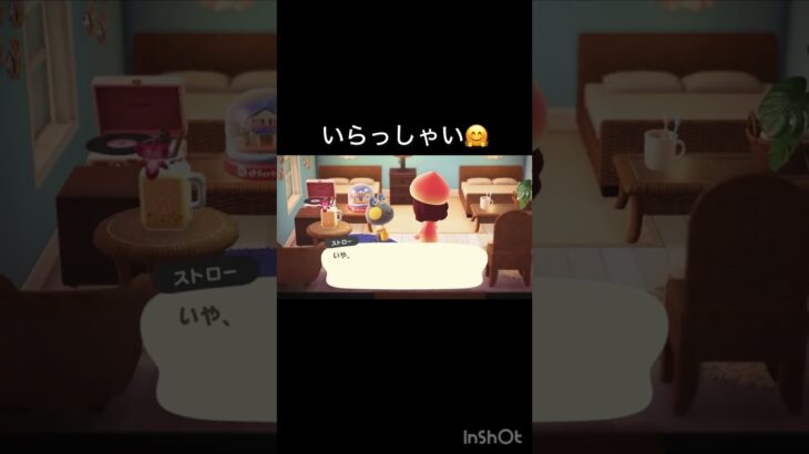 【あつ森　観光客　】いらっしゃいストロー様　 #vlog #あつ森 #あつまれどうぶつの森 #こはくちゃんねる2424  #毎日更新　毎日更新中　ホテル　旅行